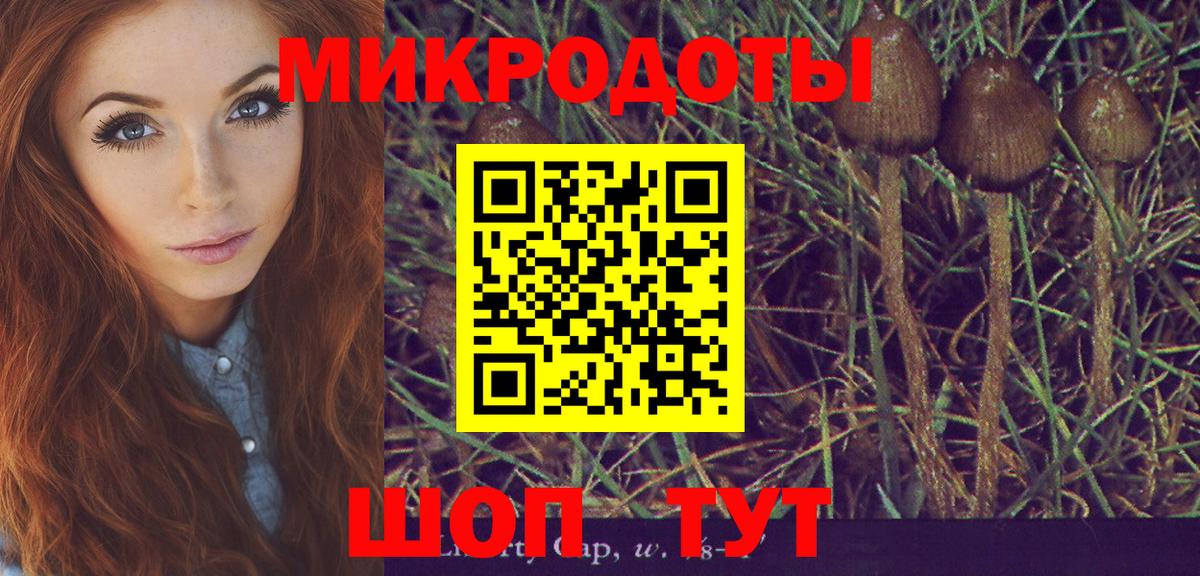 Галлюциногенные грибы Magic Shrooms  Вход с VPN  Псилоцибиновые грибы прущие грибы  купить наркотик  Махачкала 